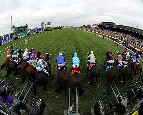 a6dd307a9df44dcc81d90d07e8ef353c